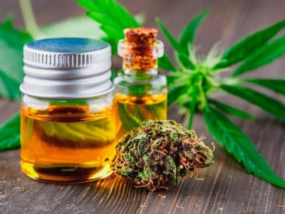 Best Things To Know About Cbd Hk
