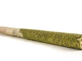 Elevate Your Smoking Experience: Try Delta-8 Pre-Rolls from Elevate Right